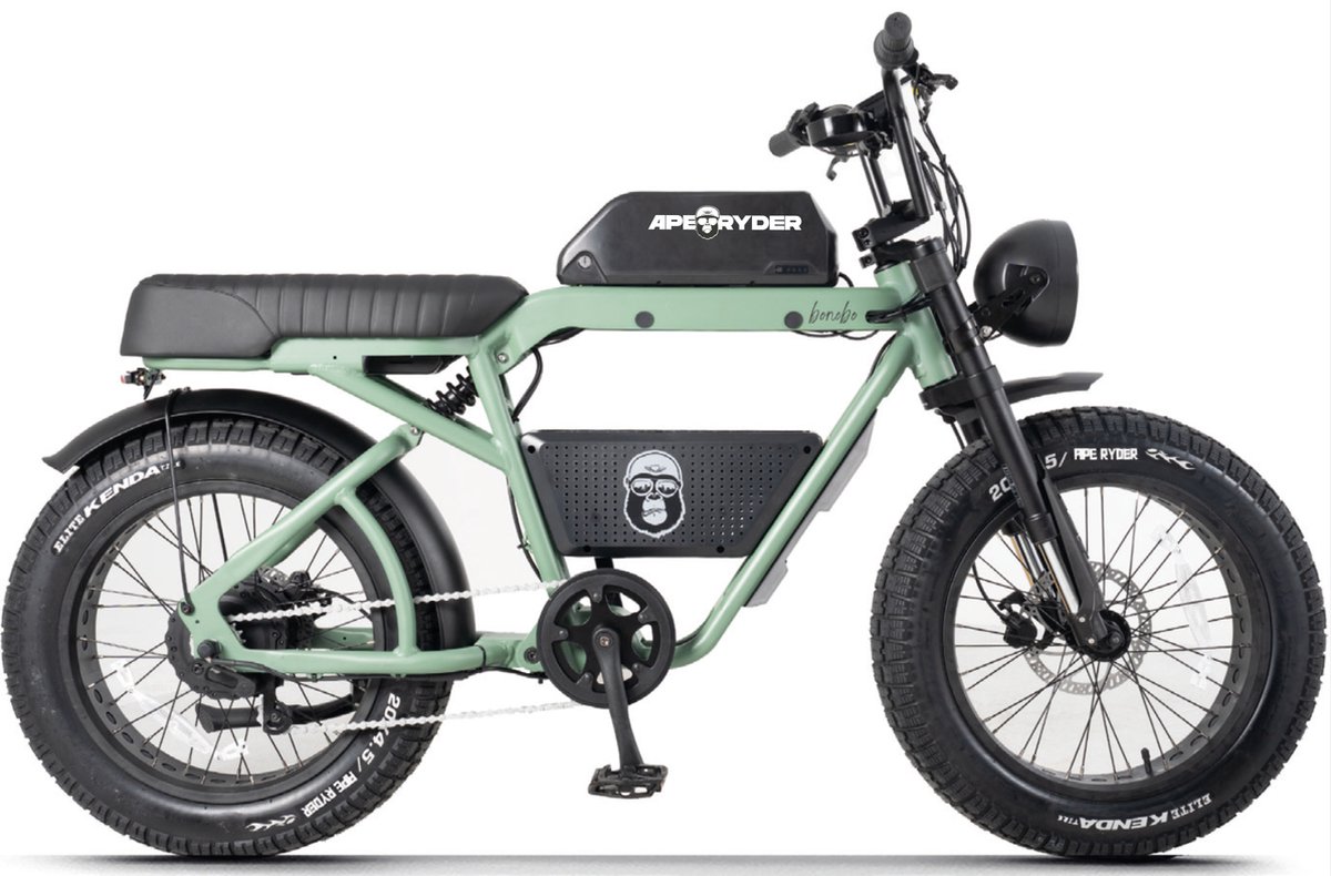 Ape Ryder Bonobo Elektrische Fatbike 250W / 48V / 20AH / 20Inch Groen (8683145902013)