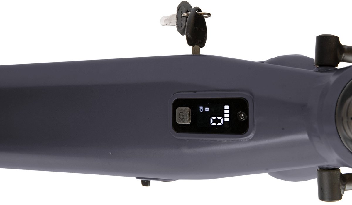 Extreme RM Automatic ebike 2 speed Dark Grey (8721082238366)