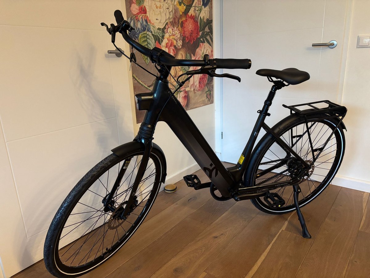 E-bike met riemaandrijving (6096300421472)