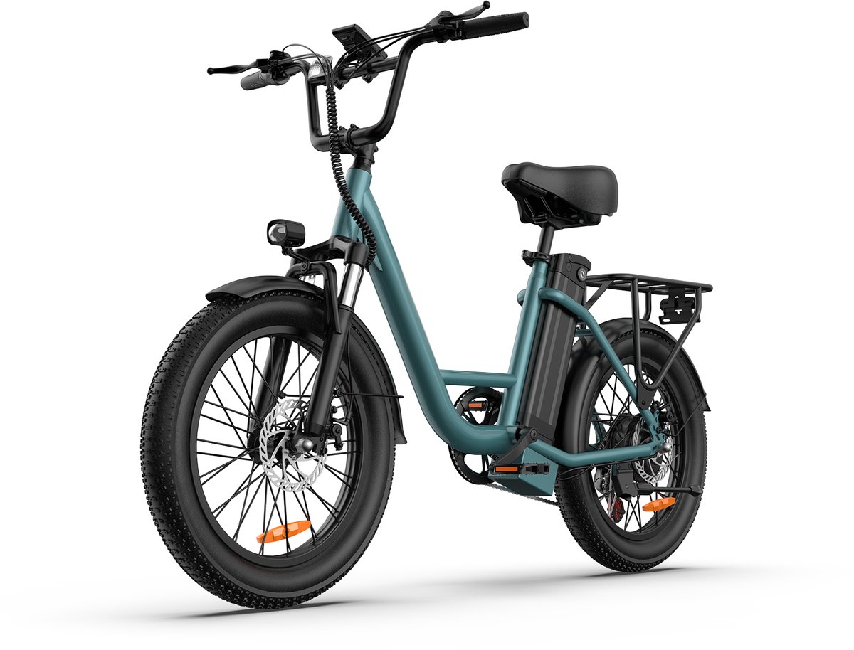 20 inch Elektrische fiets(155-195 cm) - 48V 13Ah Verwisselbare Accu tot 100KM -250 W motor - 20inch - LCD Scherm - 25 km/u - 7 Versnellingen - Elektrische Fietsen voor Heren en Dames - Groente (0196435853059)