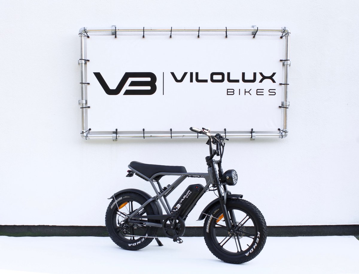 Vilolux Fatbike electrisch - Fatbike H9 PRO - SPACE GREY - Legaal - Rijklaar - Niet opvoerbare fatbikes - 2 Jaar garantie - Telefoontasje - Hydraulische remmen - Alarm (8721161313755)
